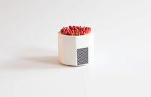 Load image into Gallery viewer, White container with red contents on a light gray background