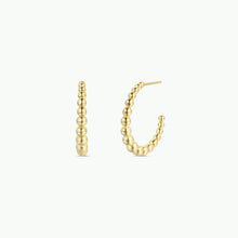 Load image into Gallery viewer, Gold hoop earrings on a white background