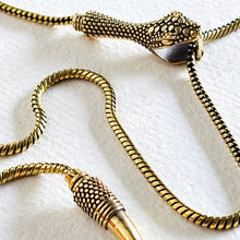 Load image into Gallery viewer, Close-up of a olid brass serpant lariat necklace on a white background