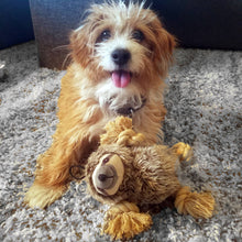 Load image into Gallery viewer, Sloth Plush Dog Toy

