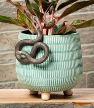 Load image into Gallery viewer, Teal ceramic planter with a snake design on a wooden surface against a stone wall background