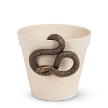 Load image into Gallery viewer, Beige ceramic pot with a decorative snake on a white background