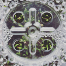 Load image into Gallery viewer, Seattle Seed Co. - Microgreens and Seed-Starting Kit