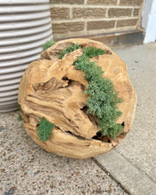 Load image into Gallery viewer, Large Wooden Accent Balls for Home Décor
