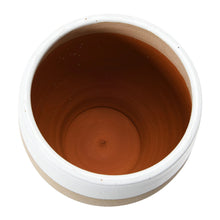 Load image into Gallery viewer, Terracotta pot on a white background