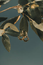 Load image into Gallery viewer, Gold earrings hanging from a branch with green leaves