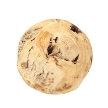 Load image into Gallery viewer, Fir Root Orb on a white background