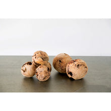 Load image into Gallery viewer, Fir Root Orbs on a grey surface