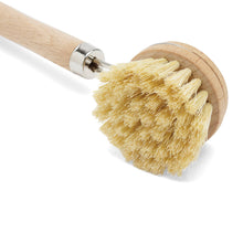 Load image into Gallery viewer, Wooden dish brush with natural bristles on a white background