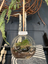 Load image into Gallery viewer, Hanging glass spherical terrarium in a home