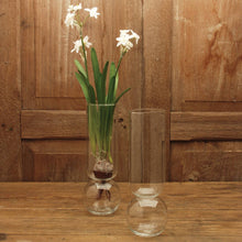 Load image into Gallery viewer, Clear glass vase with white flowers on a wooden surface and background
