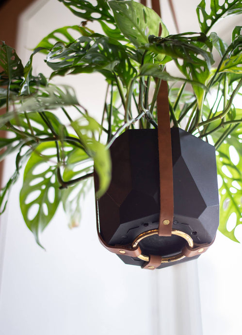 Urban Southern - Leather Plant Hanger