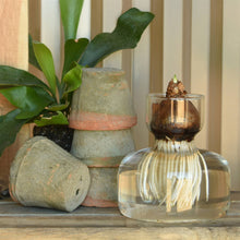 Load image into Gallery viewer, Bulb Vase in Clear Glass
