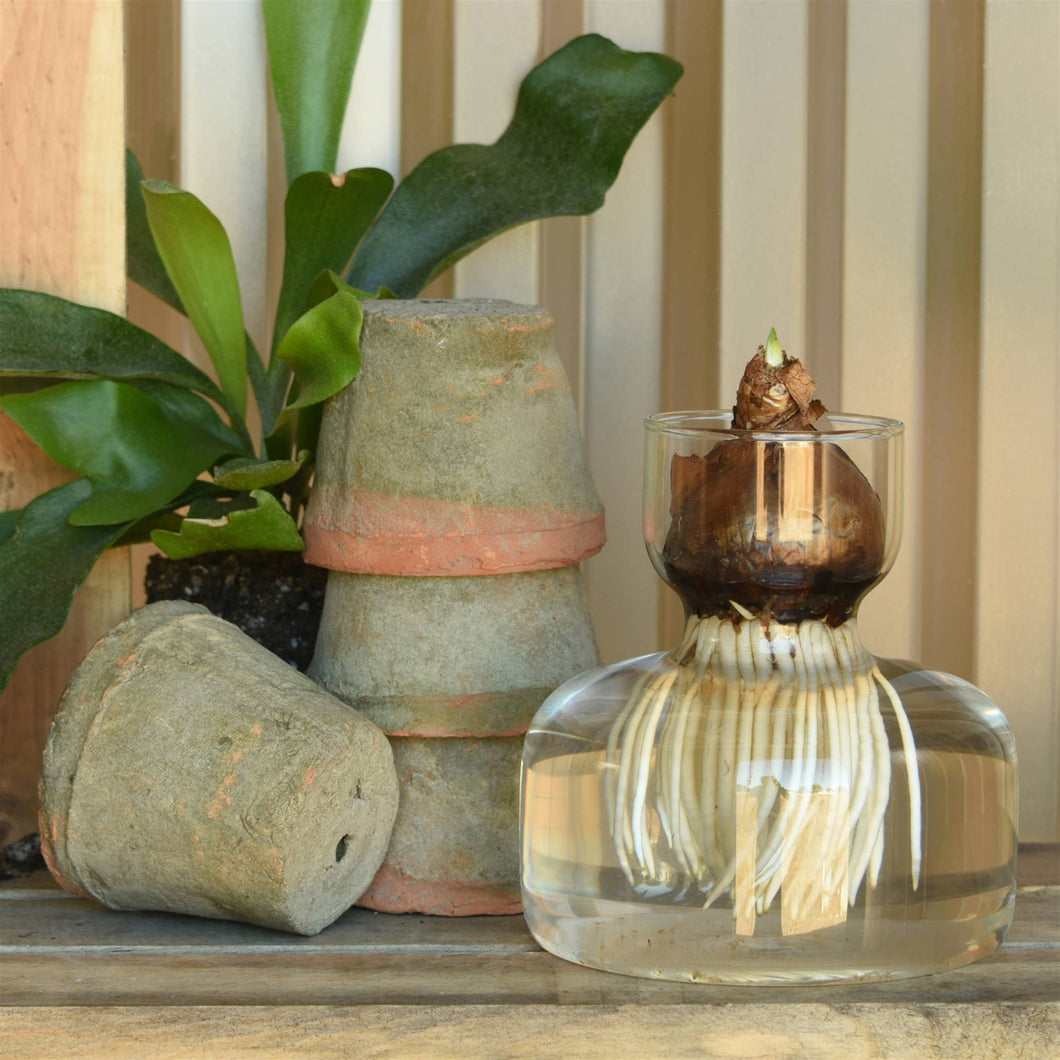 Bulb Vase in Clear Glass