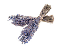 Load image into Gallery viewer, Seattle Seed Co. - Fragrant Dried Grosso French Lavender
