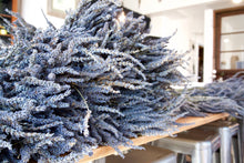 Load image into Gallery viewer, Seattle Seed Co. - Fragrant Dried Grosso French Lavender
