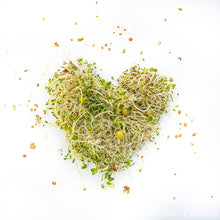 Load image into Gallery viewer, Seattle Seed Co. - Sprouting Starter Kit
