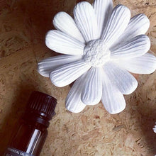 Load image into Gallery viewer, A white painted daisy flower ornament displayed on a brown particle board surface next to a dark amber essential oil bottle.
