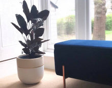 Load image into Gallery viewer, Common House Studio - GALA POT | PLANTER
