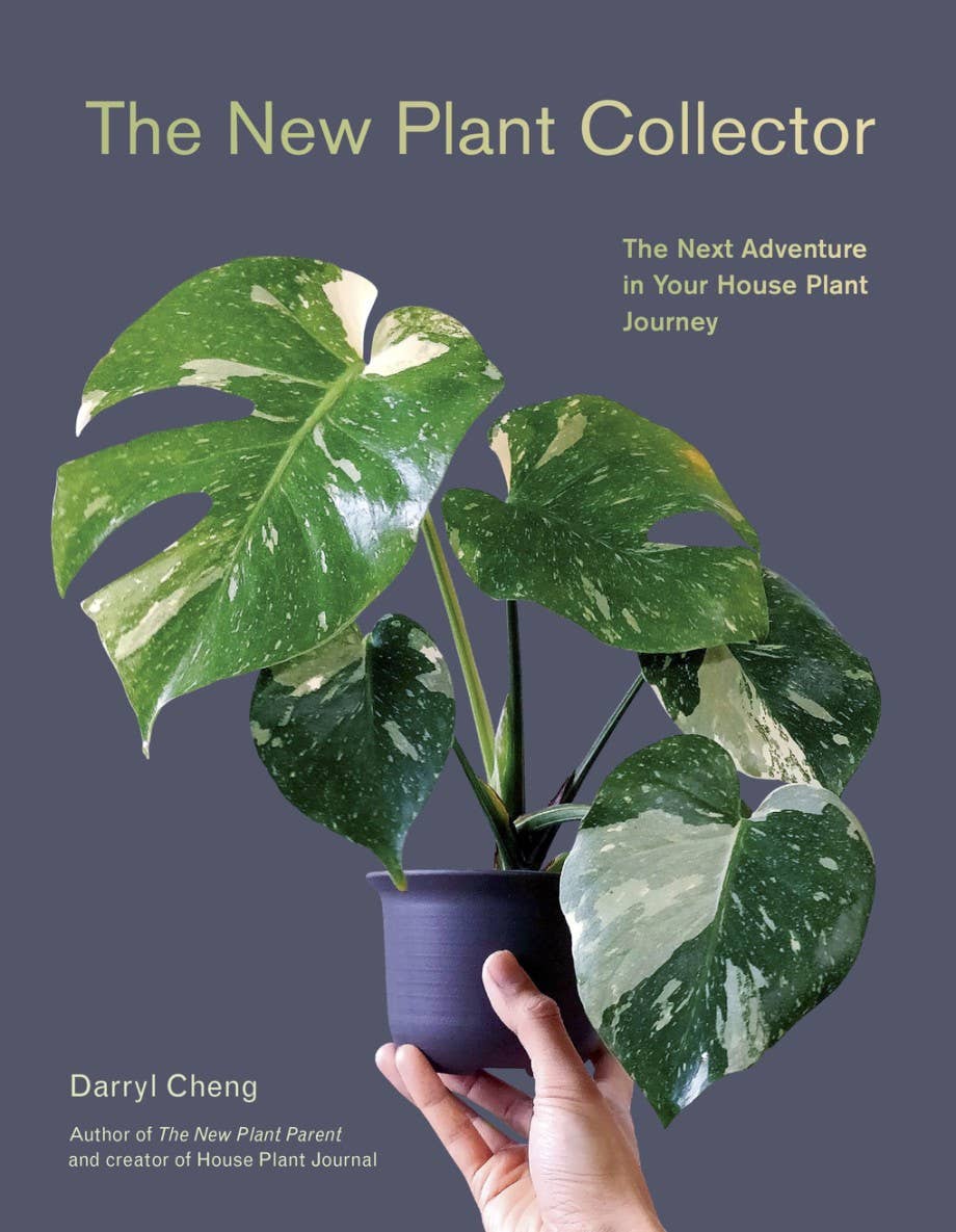 Book cover of 'The New Plant Collector' with a plant and hand holding it against a dark background.