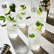 Load image into Gallery viewer, European Crystal Highball Tumblers
