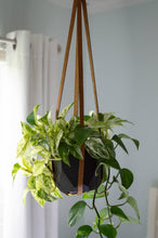 Load image into Gallery viewer, Urban Southern - Leather Plant Hanger
