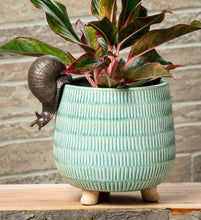 Load image into Gallery viewer, Green textured planter with a snail design on a wooden surface against a stone wall background
