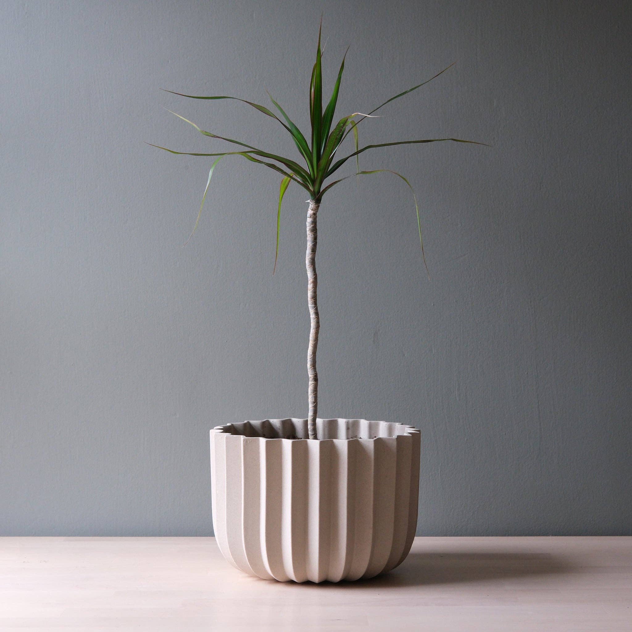 plain ceramic plant pots 9" Wrap Ceramic Planter