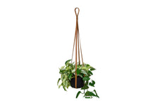 Load image into Gallery viewer, Urban Southern - Leather Plant Hanger
