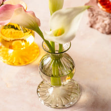 Load image into Gallery viewer, Nalia Bud Vase in Parakeet
