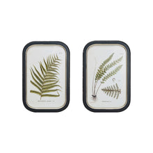 Load image into Gallery viewer, fern framed artwork
