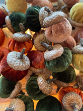 Load image into Gallery viewer, Autumn Velvet Acorns
