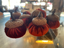 Load image into Gallery viewer, Autumn Velvet Acorns
