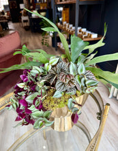Load image into Gallery viewer, Decorative indoor plant arrangement in a gold pot on a table.
