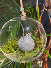 Load image into Gallery viewer, Christmas Terrarium
