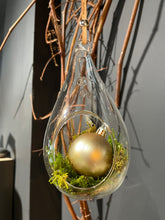 Load image into Gallery viewer, Christmas Terrarium
