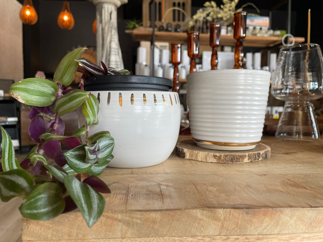 Petite Plant + Svona Mug Set