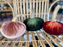 Load image into Gallery viewer, Autumn Velvet Pumpkins
