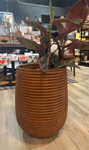 Load image into Gallery viewer, Terracotta pot with a plant on a wooden floor in an indoor setting
