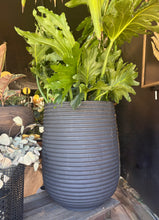 Load image into Gallery viewer, Large ribbed gray pot with a green leafy plant on a wooden surface.
