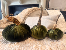 Load image into Gallery viewer, Three velvet decorative pumpkins in dark green and olive shades with dried stems, arranged on a textured cream blanket with pillows in the background.

