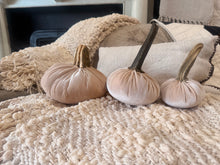 Load image into Gallery viewer, Three decorative velvet pumpkins in neutral beige and cream tones with faux stems, arranged on a chunky knit throw blanket in a cozy indoor setting.
