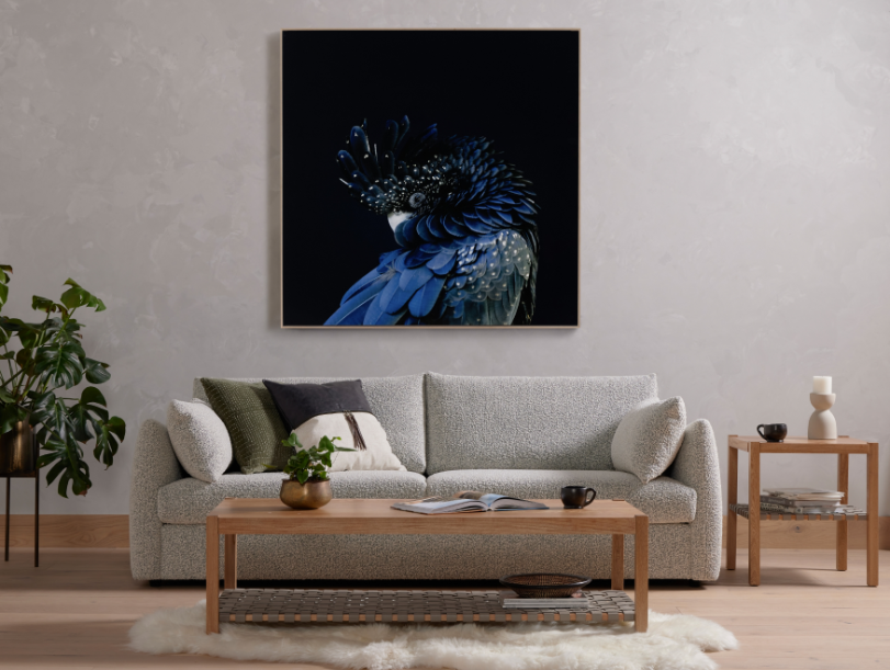 Red-Tailed Black Cockatoo Wall Art