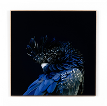 Load image into Gallery viewer, Red-Tailed Black Cockatoo Wall Art
