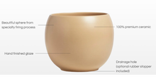 Load image into Gallery viewer, Small Sphere Planter - 3&quot;
