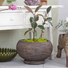 Load image into Gallery viewer, Decorative plant in a wooden pot with a white cabinet and decorative items in the background.
