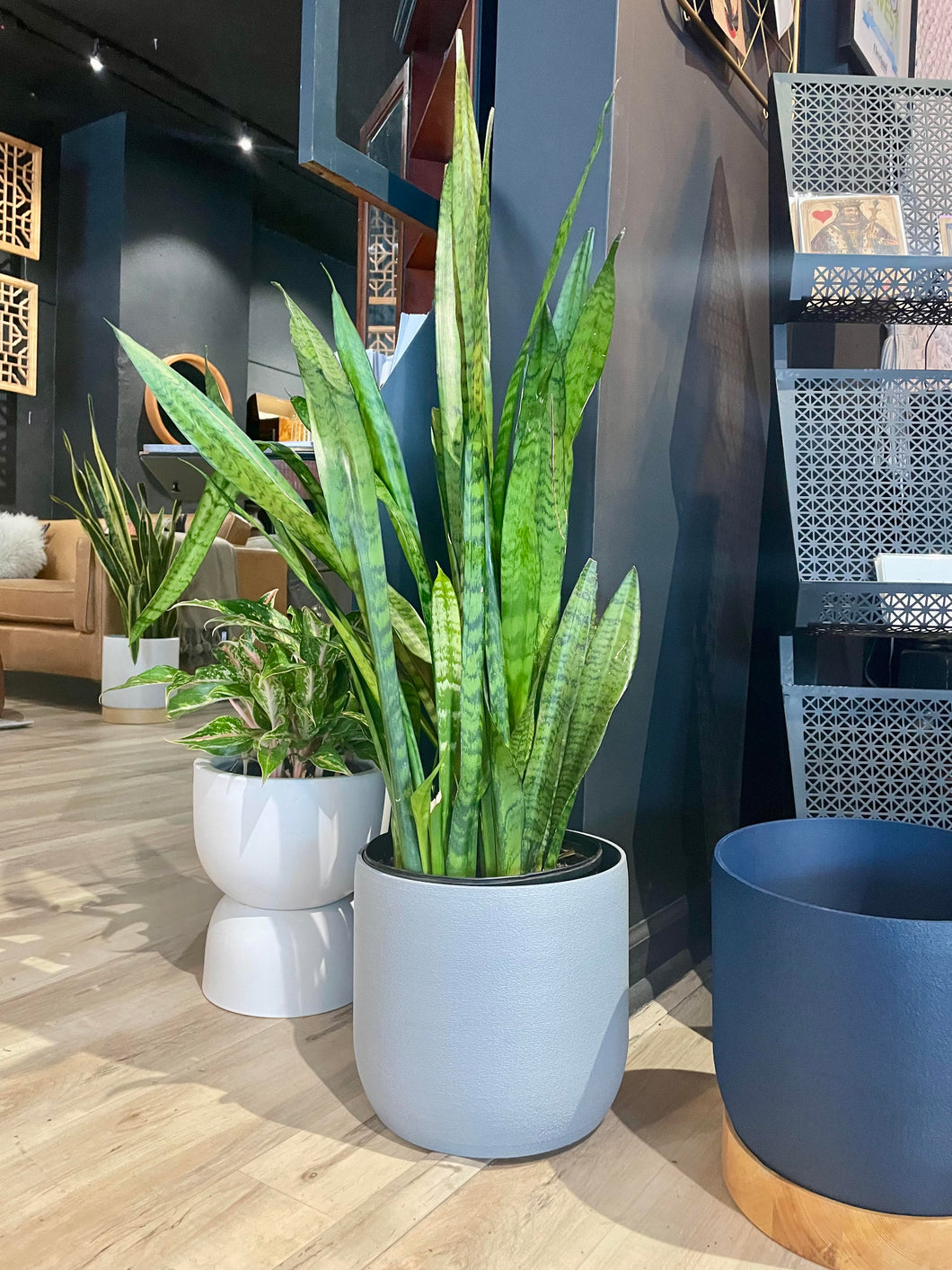 The Holt Planter 10 inch - Grey