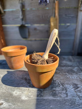 Load image into Gallery viewer, Seattle Seed Co. - Plant Pot Cleaning Brush
