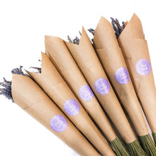 Load image into Gallery viewer, Seattle Seed Co. - Fragrant Dried Grosso French Lavender

