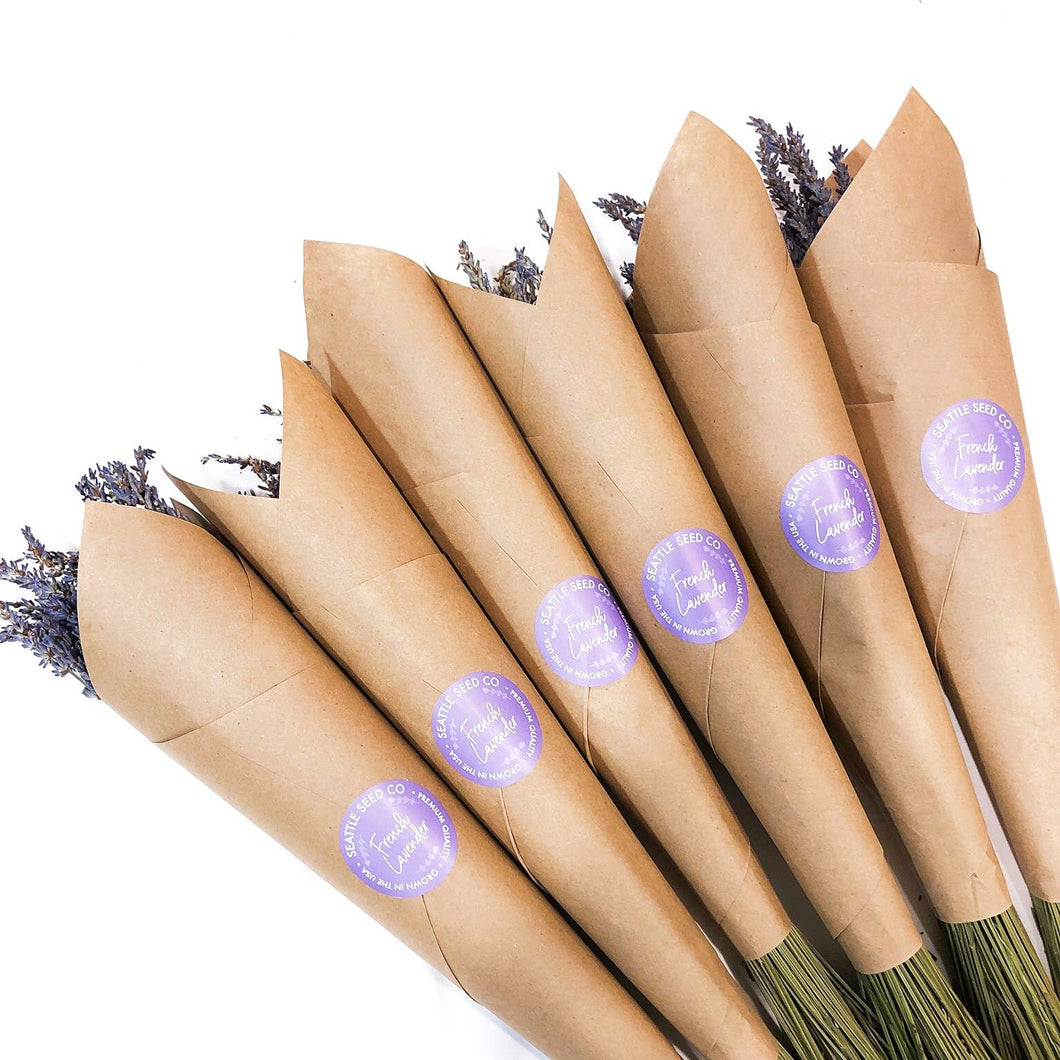 Seattle Seed Co. - Fragrant Dried Grosso French Lavender